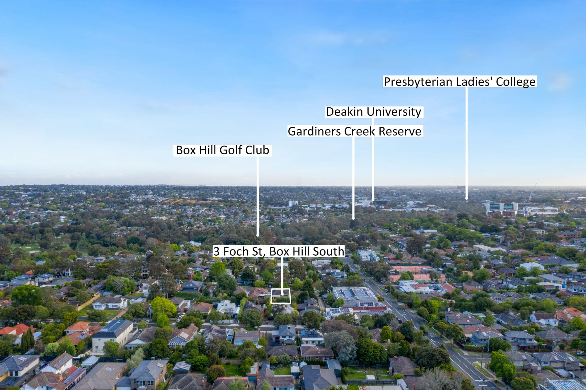 3 Foch Street, Box Hill South VIC 3128, Box Hill South - Thumbnail 4