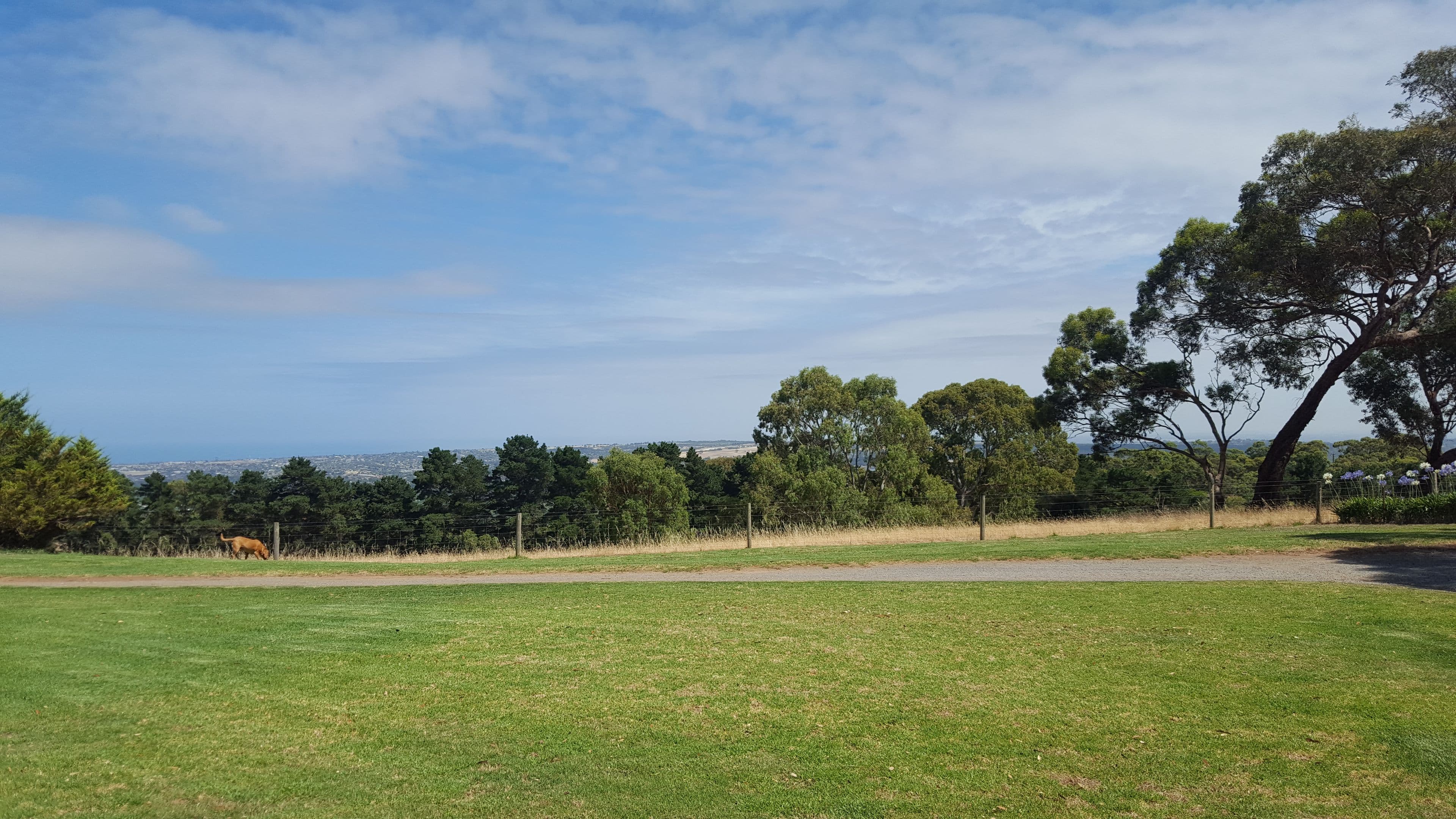 102 Education Road, Onkaparinga Hills SA 5163, Onkaparinga Hills - Thumbnail 2