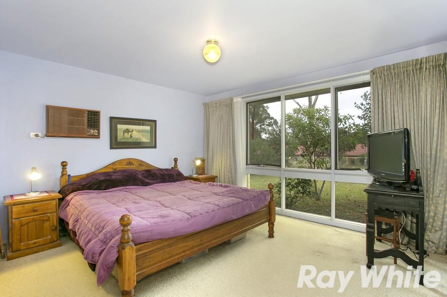 34 Middleton Avenue, CASTLE HILL NSW 2154, Castle Hill - Thumbnail 4