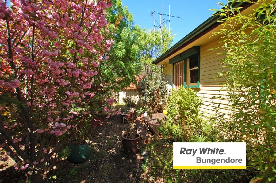 56 Butmaroo Street, Bungendore - Thumbnail 5
