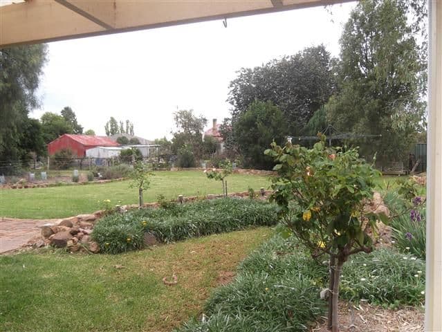 53 Cowra Street, GOOLOOGONG NSW 2805, Gooloogong - Thumbnail 4