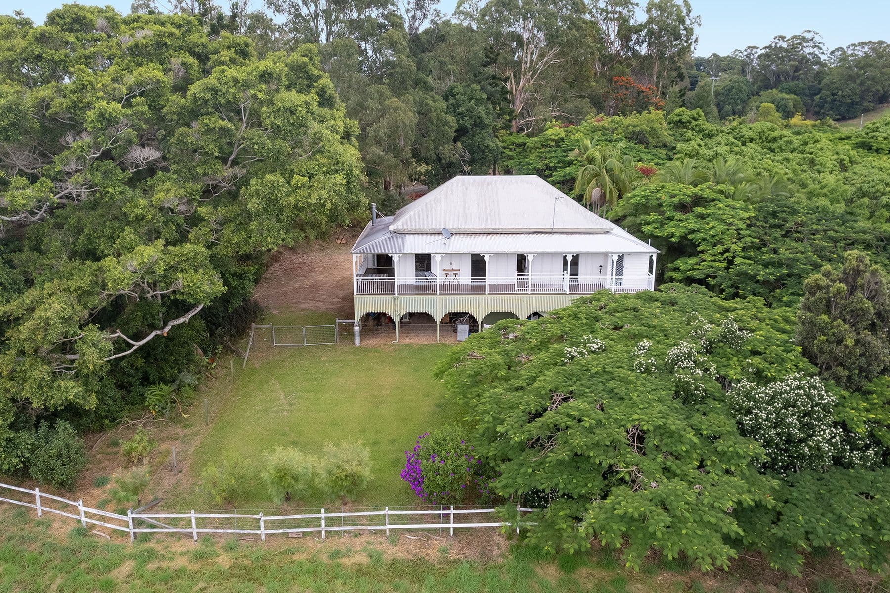 187 Ocean View Road, Cooroy QLD 4563, Cooroy - Thumbnail 2