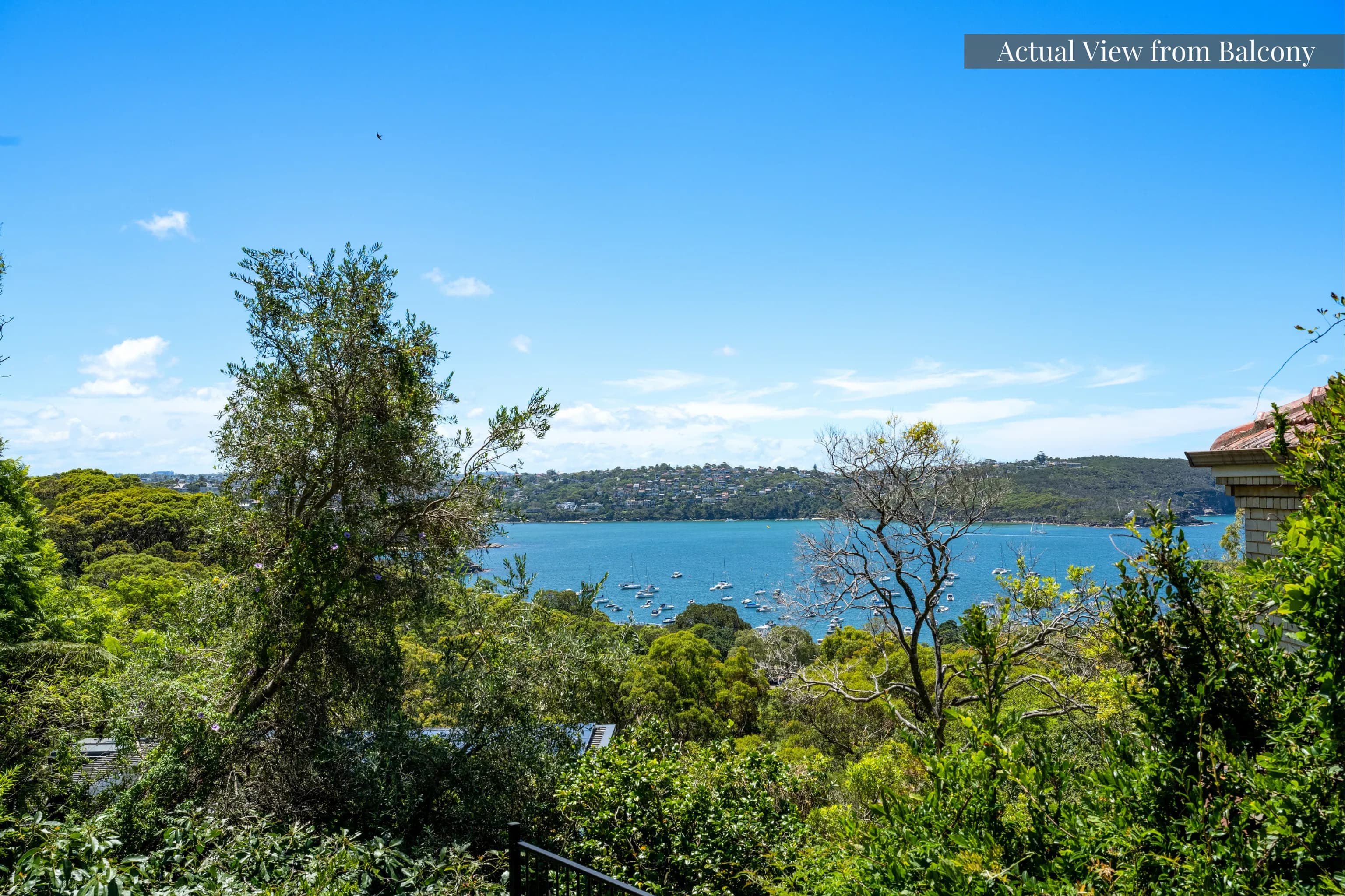 21 Wolseley Road, Mosman NSW 2088, Mosman - Thumbnail 5