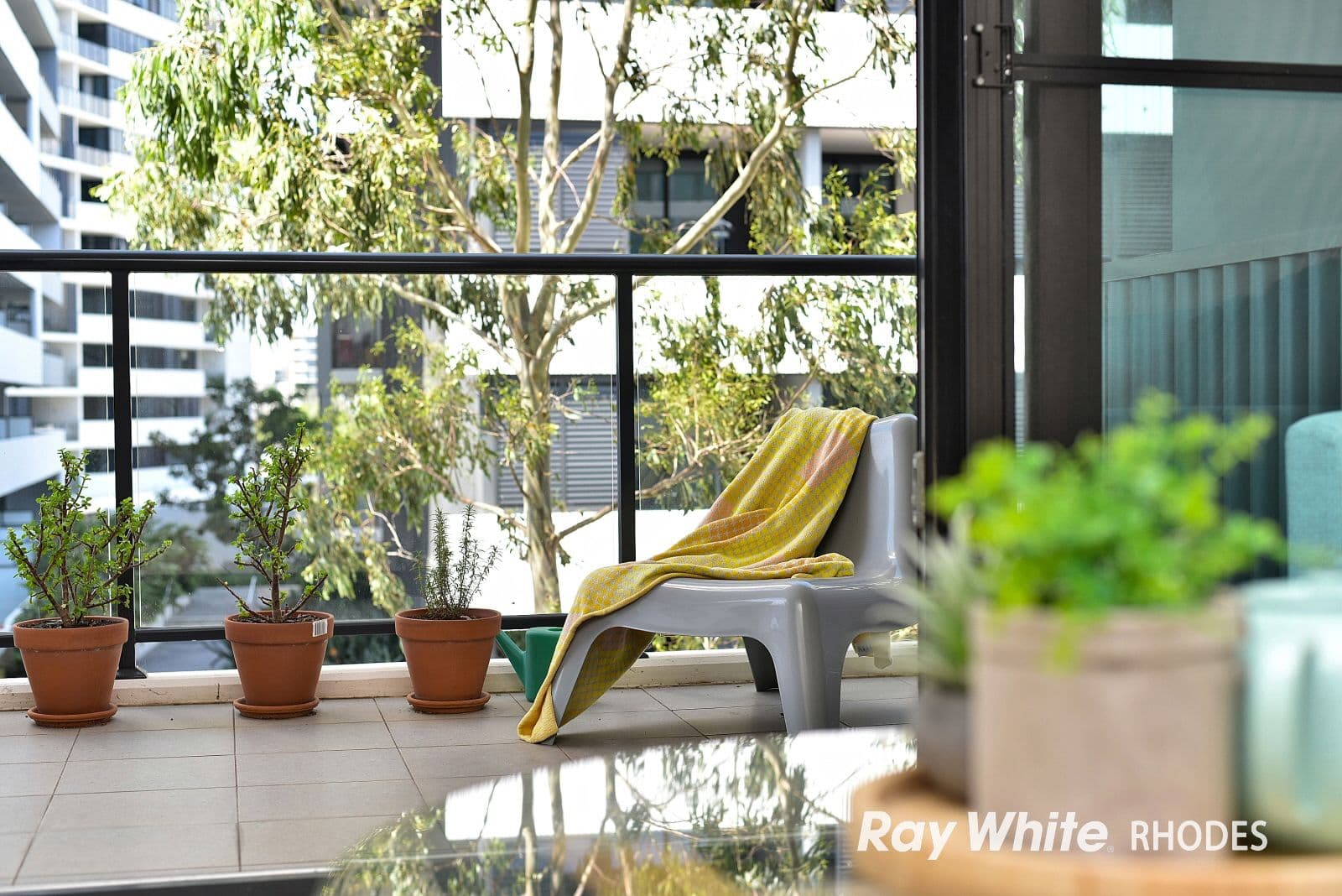 1 Timbrol Avenue, Rhodes NSW 2138, Rhodes - Thumbnail 2