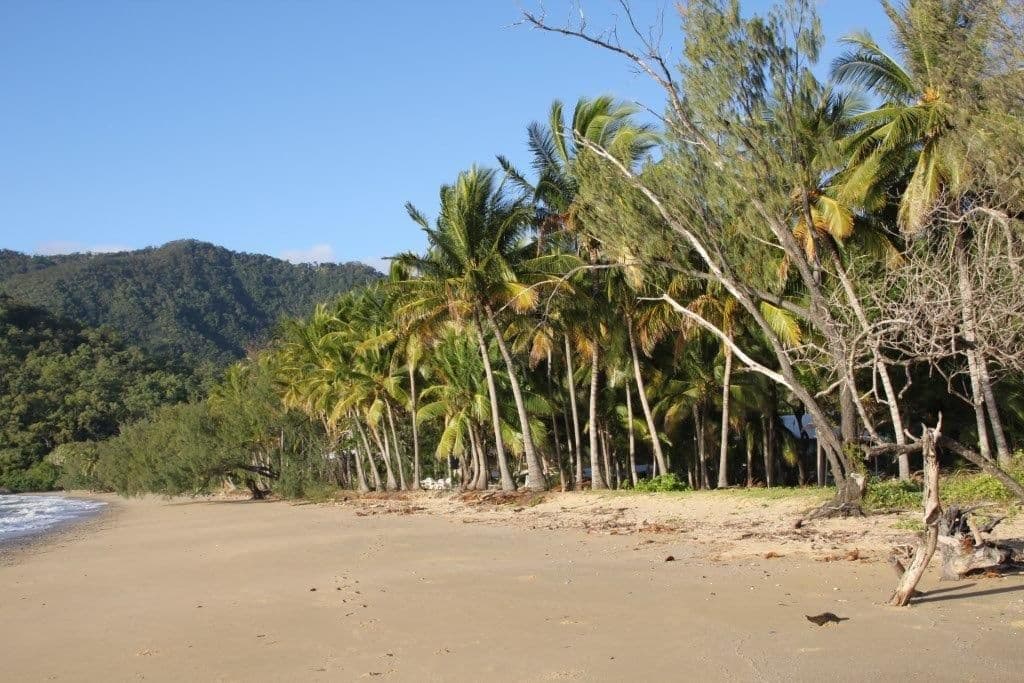 28 Oak Street, Oak Beach QLD 4877, Oak Beach - Thumbnail 4
