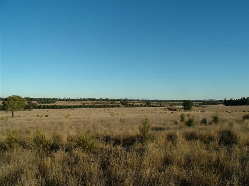 Lot 19  Panai Avenue, DUBBO NSW 2830, Dubbo - Image 1