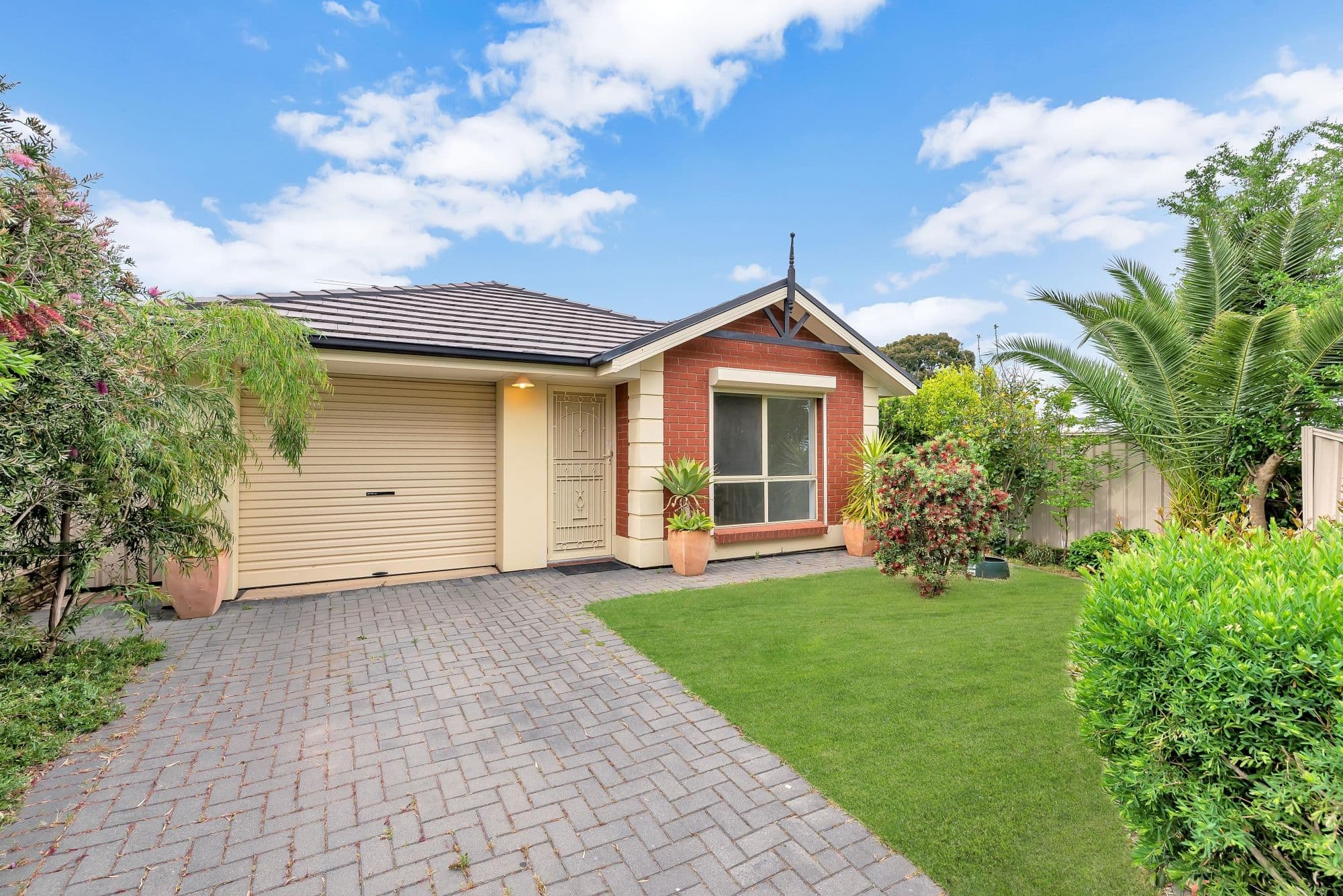 1 Vizard Road, Tea Tree Gully SA 5091, Tea Tree Gully - Thumbnail 2