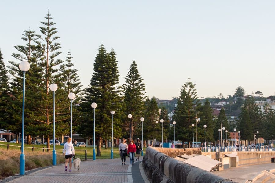 45A Carr Street, Coogee NSW 2034, Coogee - Thumbnail 8