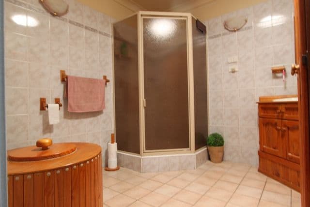 113 Mimosa Road, BOSSLEY PARK NSW 2176, Bossley Park - Thumbnail 5