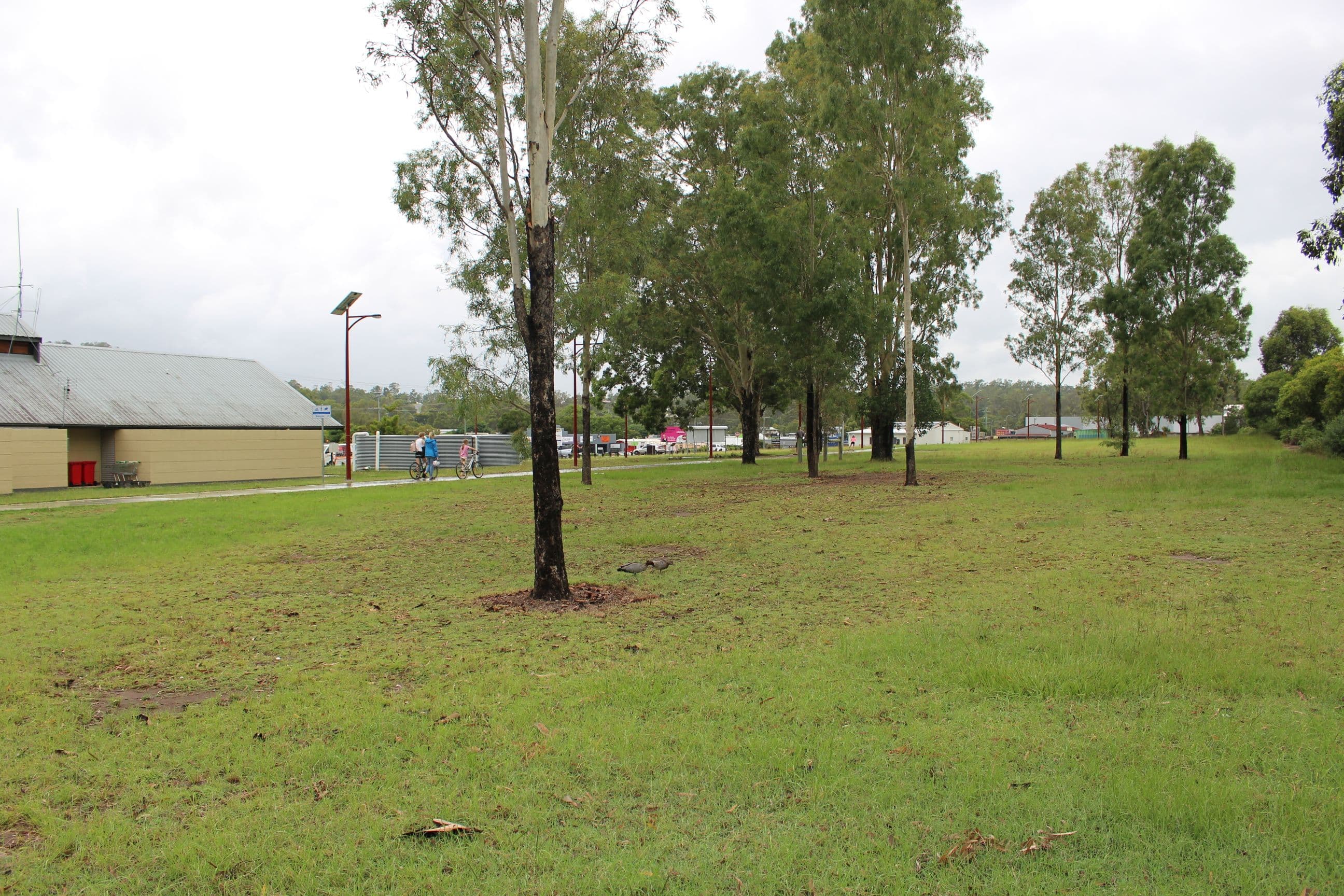 22 Macaulay Street, Fernvale QLD 4306, Fernvale - Thumbnail 7