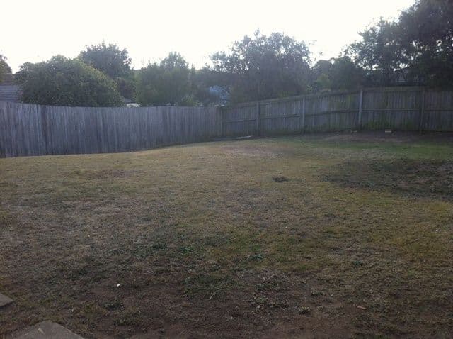 4 Buckland Court, COLLINGWOOD PARK QLD 4301, Collingwood Park - Thumbnail 5