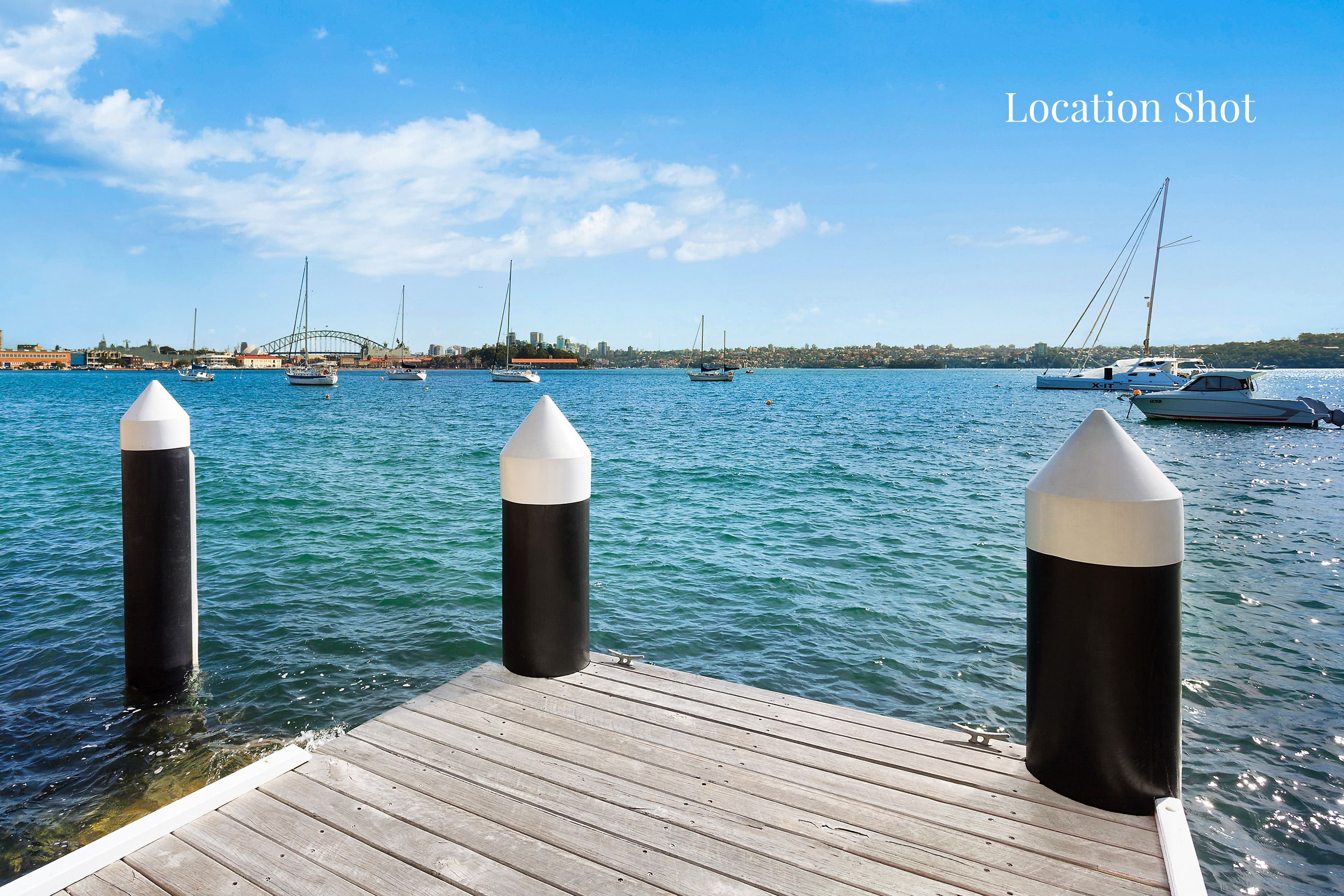 87-97 Yarranabbe Road, Darling Point NSW 2027, Darling Point - Thumbnail 4
