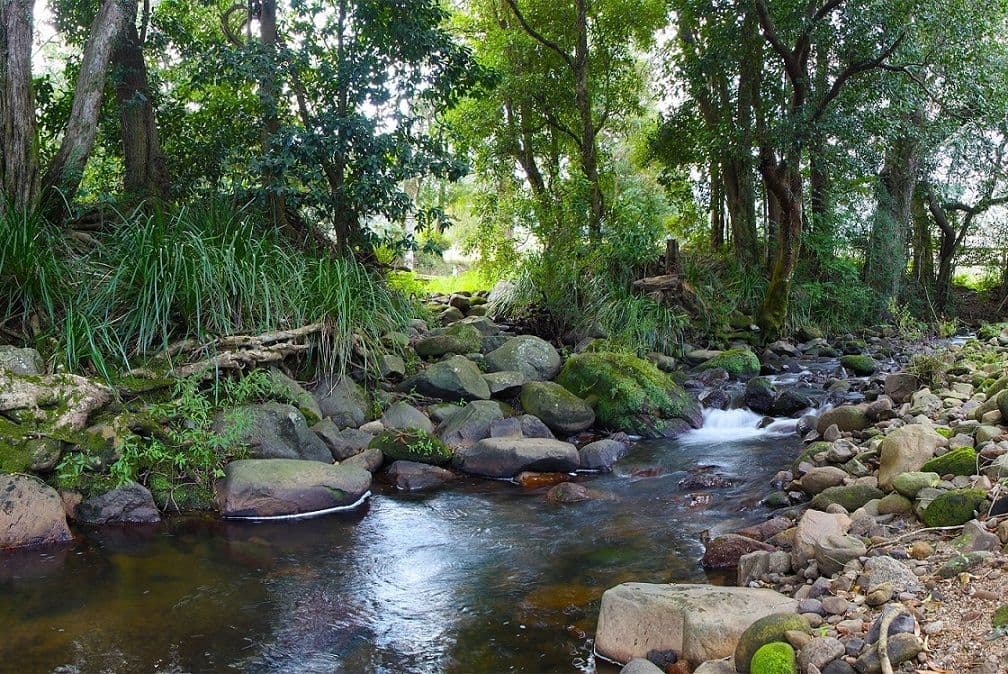 23 Bryan Close, Broughton Vale NSW 2535, Broughton Vale - Thumbnail 2