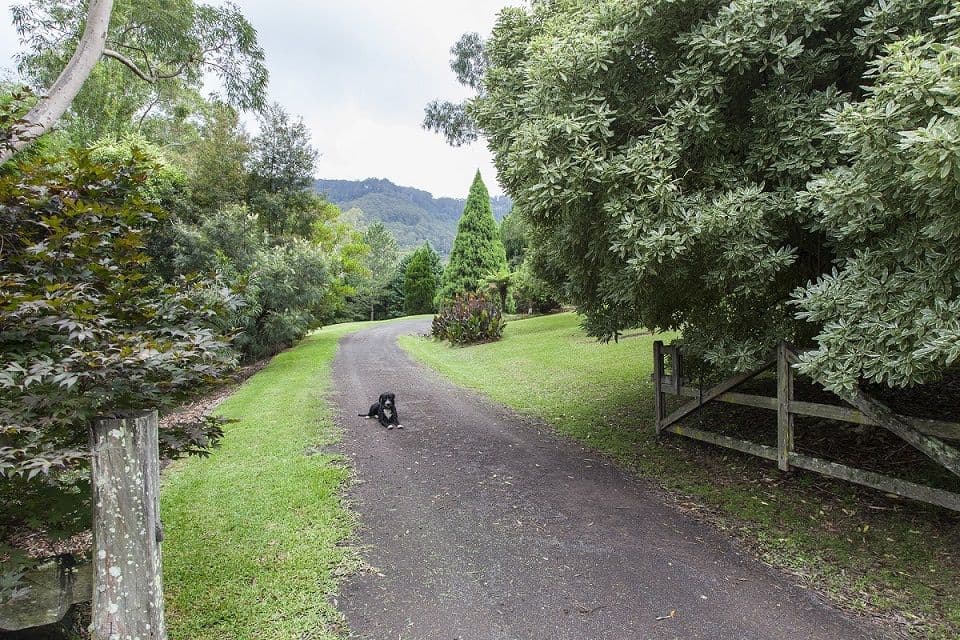 23 Bryan Close, Broughton Vale NSW 2535, Broughton Vale - Thumbnail 3