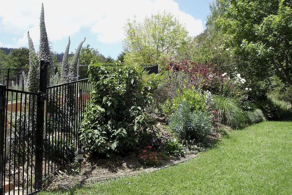 23 Bryan Close, Broughton Vale NSW 2535, Broughton Vale - Thumbnail 7