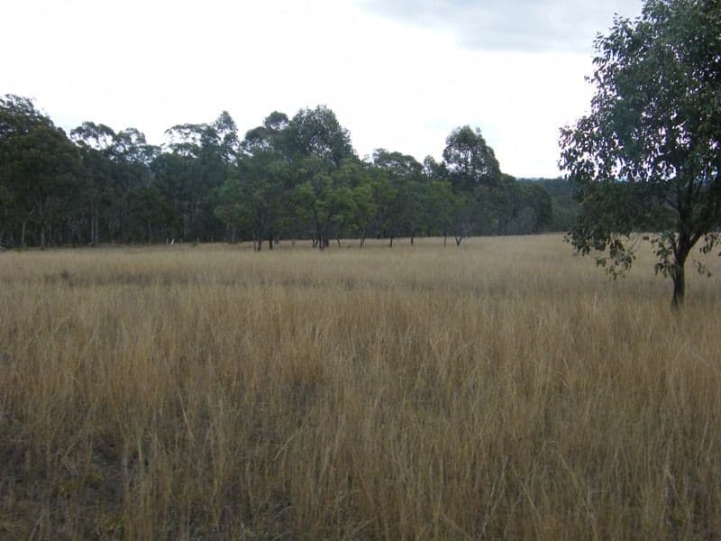 Lot 387  New England Highway, COOYAR QLD 4402, Cooyar - Image 1