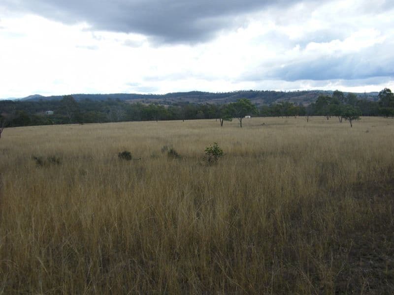Lot 387  New England Highway, COOYAR QLD 4402, Cooyar - Thumbnail 2