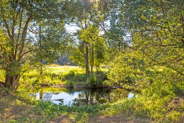 100 Upper Crystal Creek Road, CRYSTAL CREEK NSW 2484, Upper Crystal Creek - Image 1