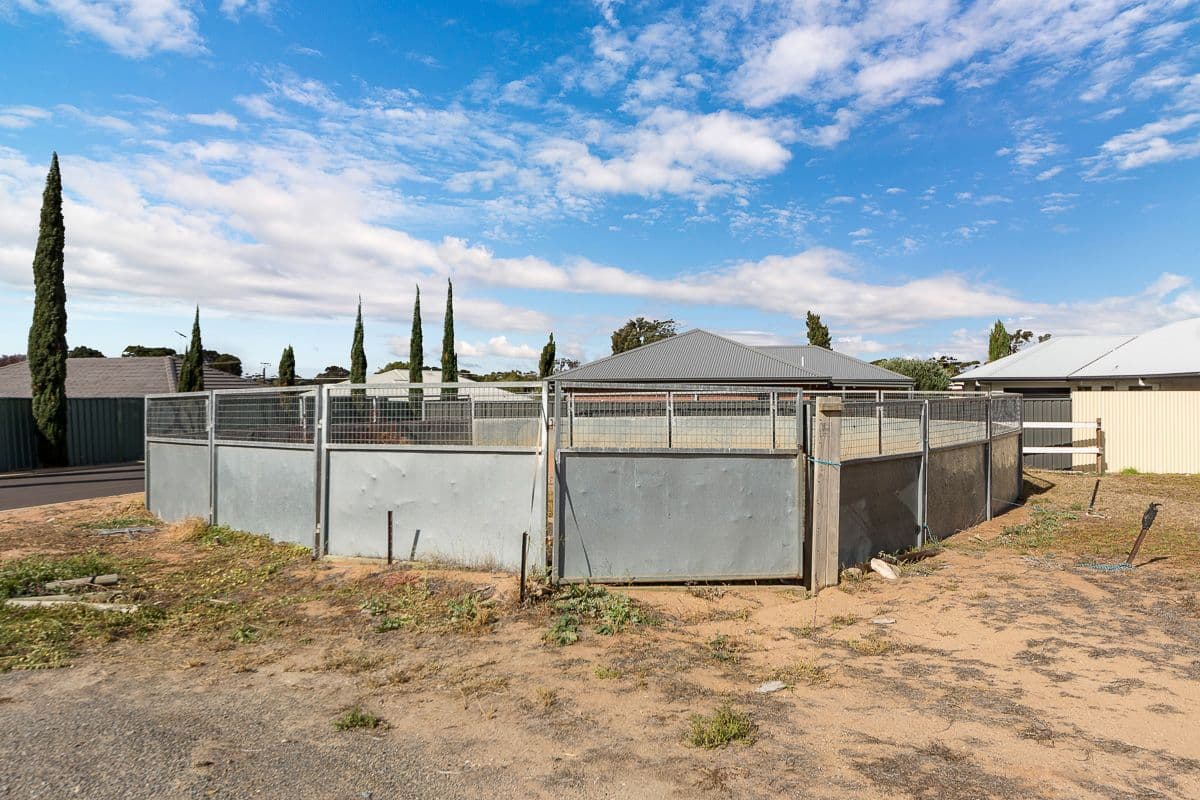 26 Phillips Street, Murray Bridge SA 5253, Murray Bridge - Thumbnail 4