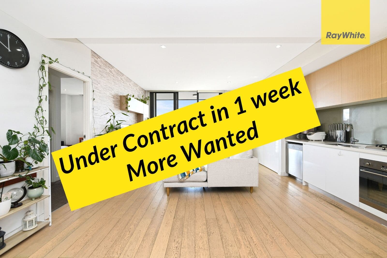 13 Angas Street, Meadowbank NSW 2114, Meadowbank - Image 1