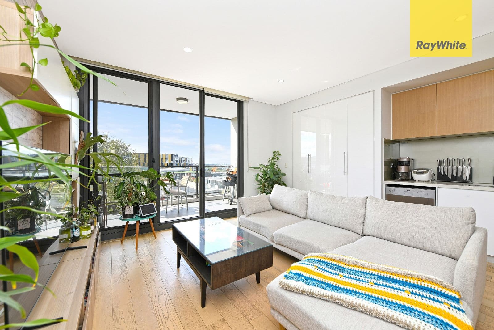 13 Angas Street, Meadowbank NSW 2114, Meadowbank - Thumbnail 4