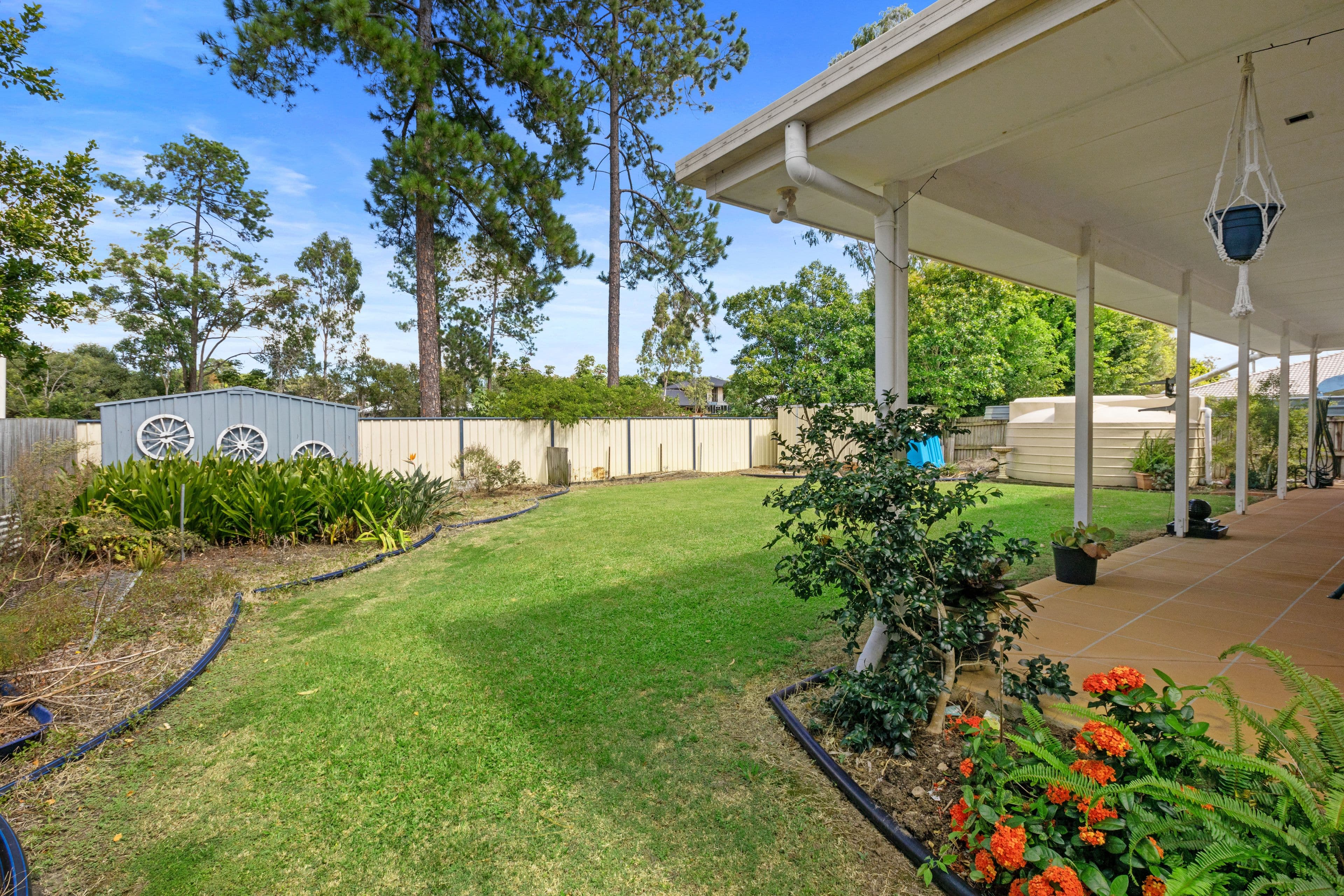 45 Spruce Street, Loganlea QLD 4131, Loganlea - Thumbnail 2