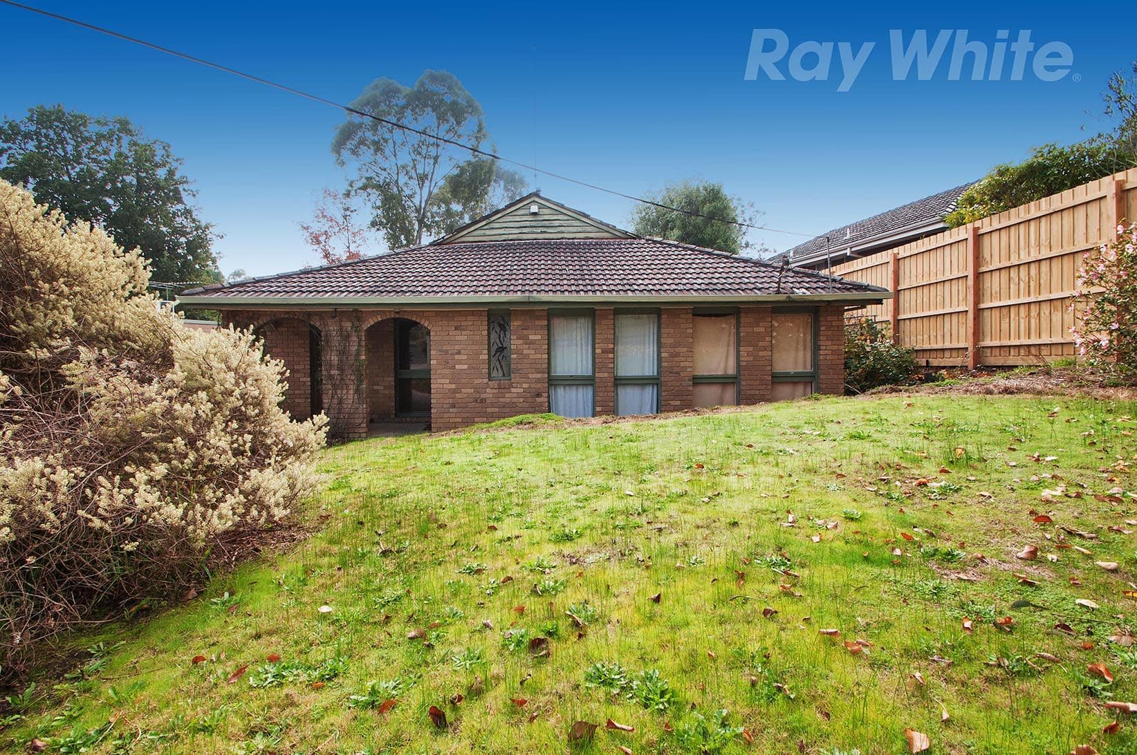 28 BERRY Road, Bayswater North VIC 3153, Bayswater North - Thumbnail 3