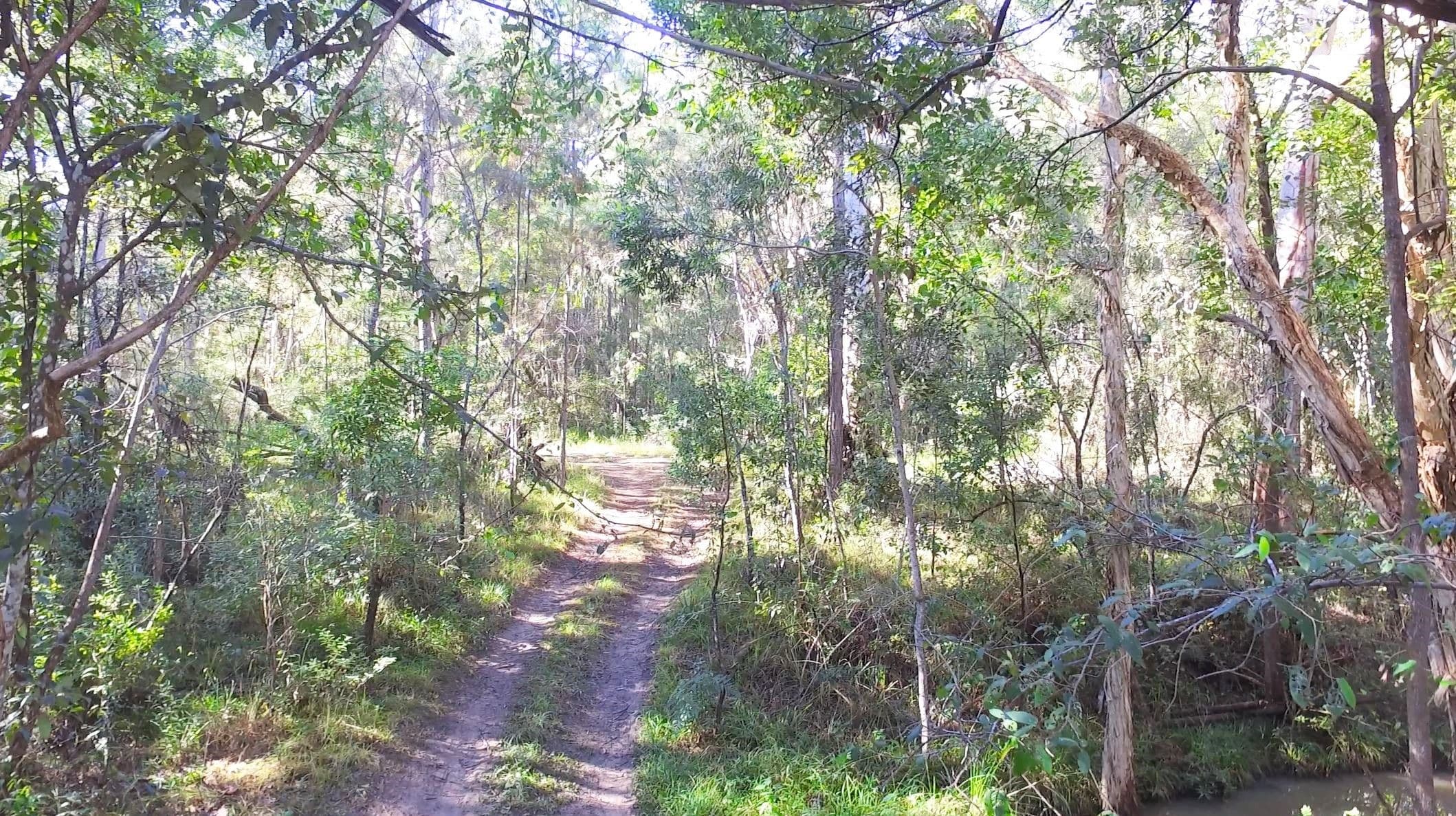 55 Old Gympie Road, Landsborough QLD 4550, Landsborough - Thumbnail 3