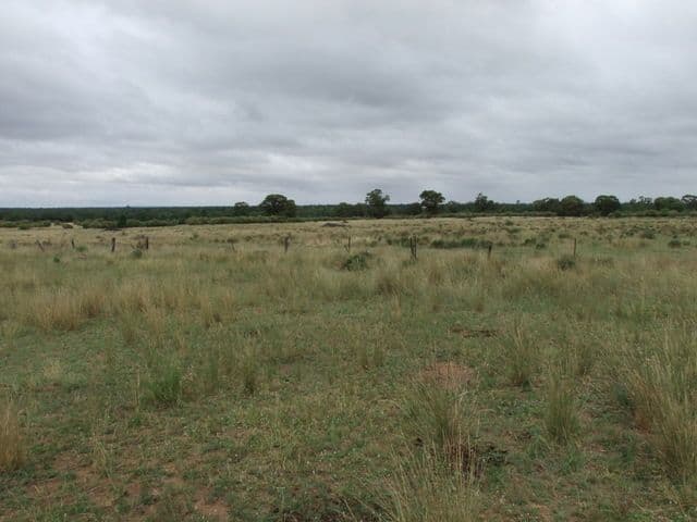 BARADINE NSW 2396, Baradine - Image 1