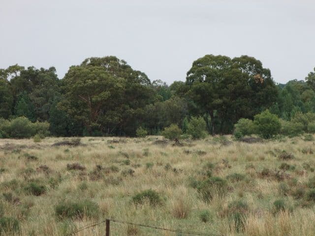 BARADINE NSW 2396, Baradine - Thumbnail 5