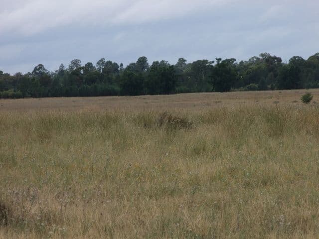 BARADINE NSW 2396, Baradine - Thumbnail 8