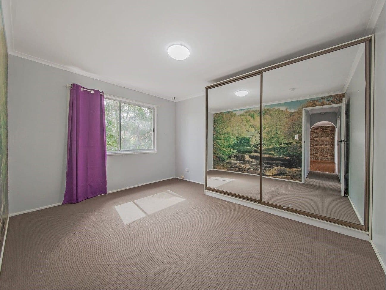 27 Minoa Street, Woodridge QLD 4114, Woodridge - Thumbnail 5