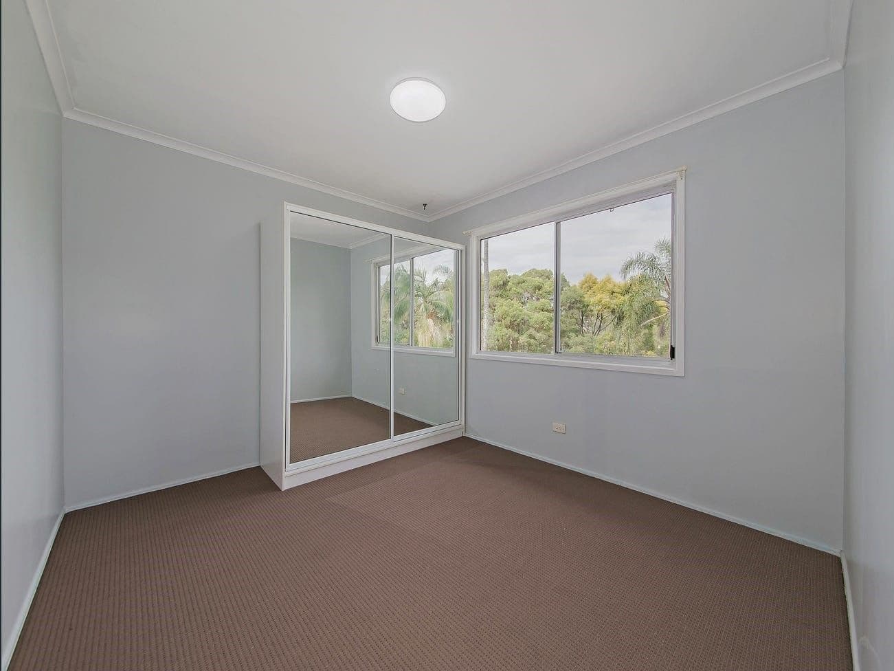 27 Minoa Street, Woodridge QLD 4114, Woodridge - Thumbnail 6