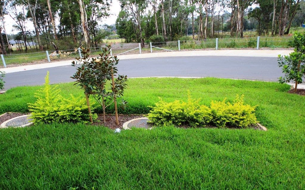 39 Three Bees Drive, Glenfield NSW 2167, Glenfield - Thumbnail 7