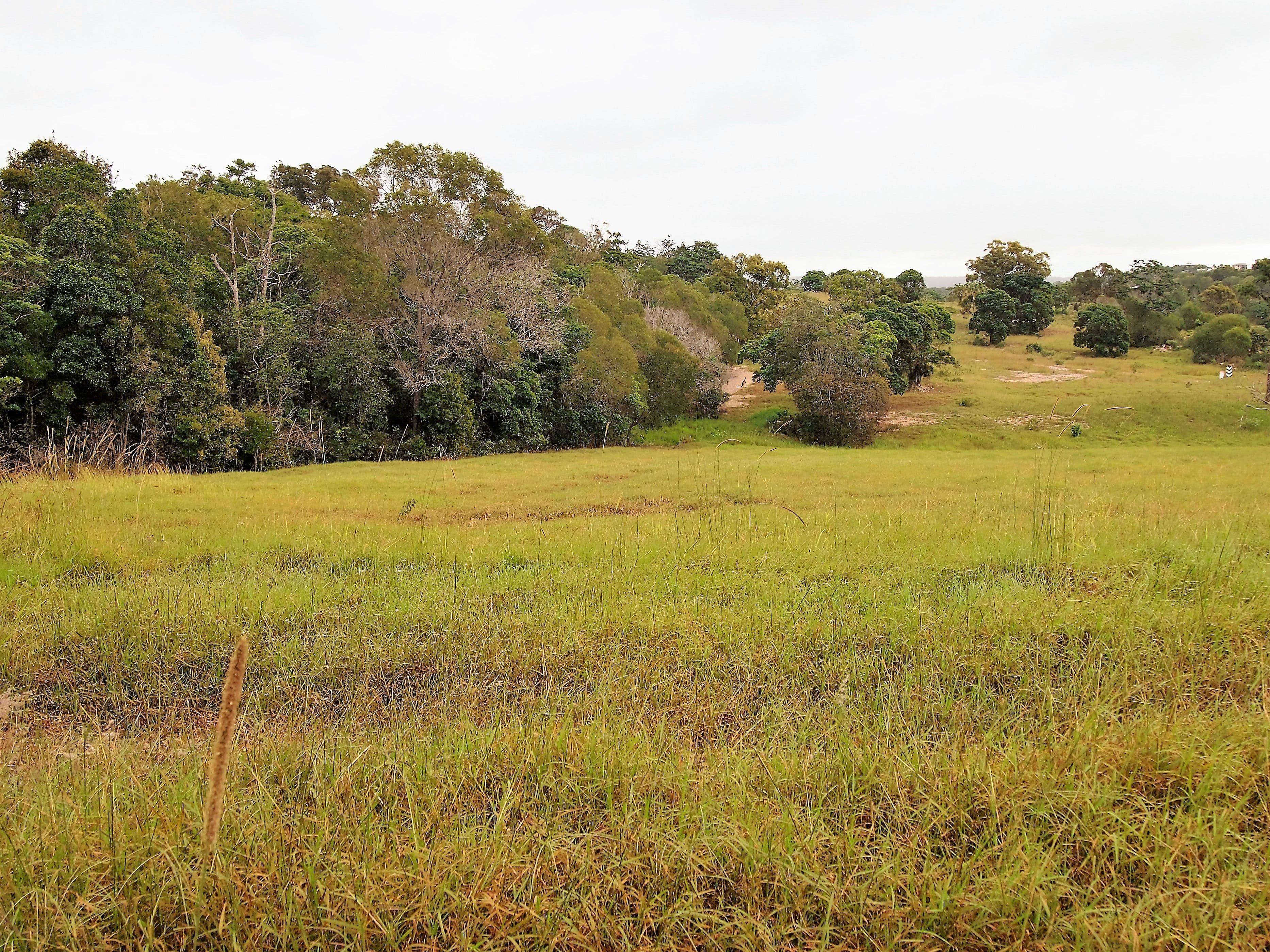 10 Woodgate Avenue, Craignish QLD 4655, Craignish - Thumbnail 2