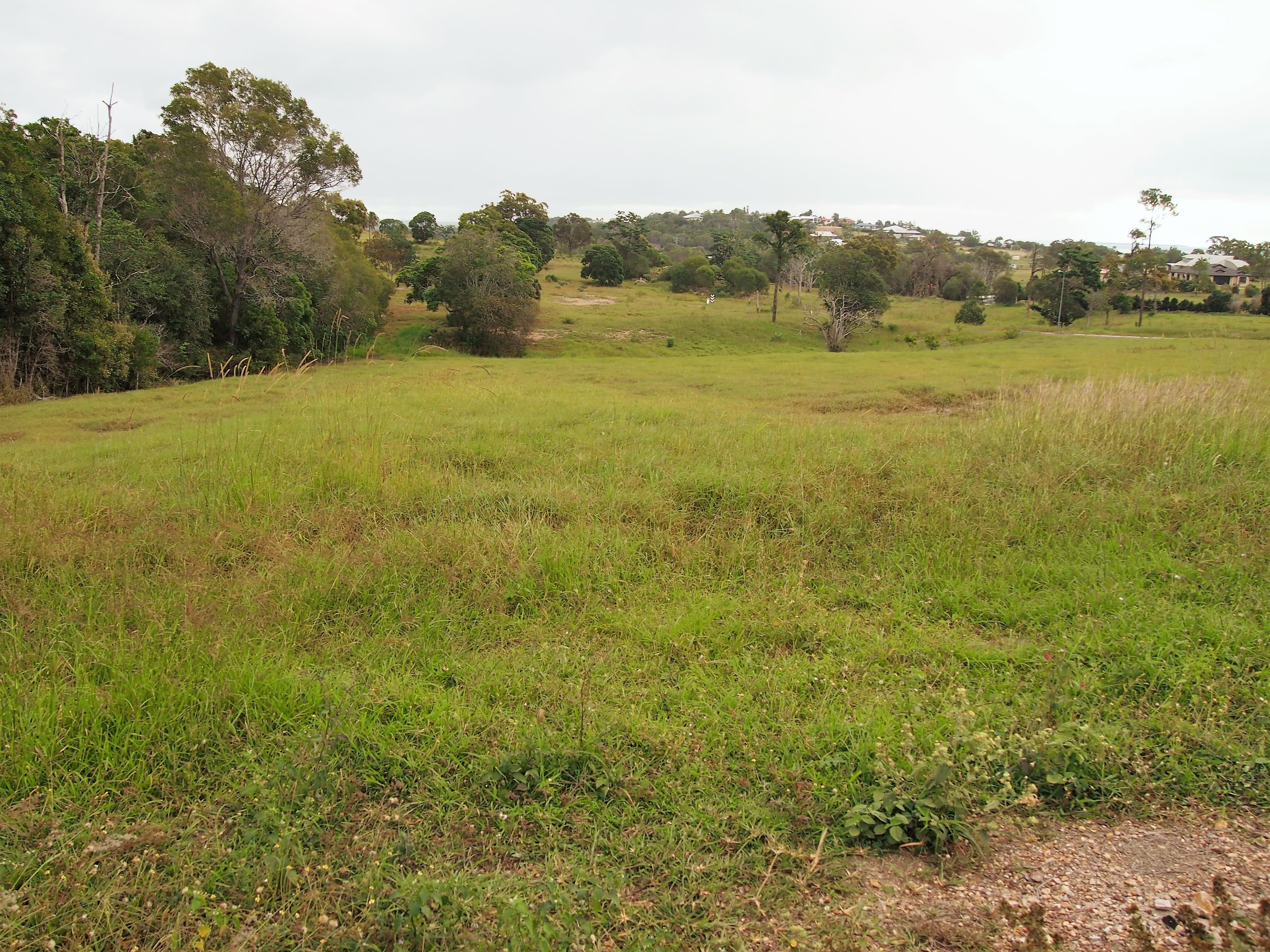 10 Woodgate Avenue, Craignish QLD 4655, Craignish - Thumbnail 4