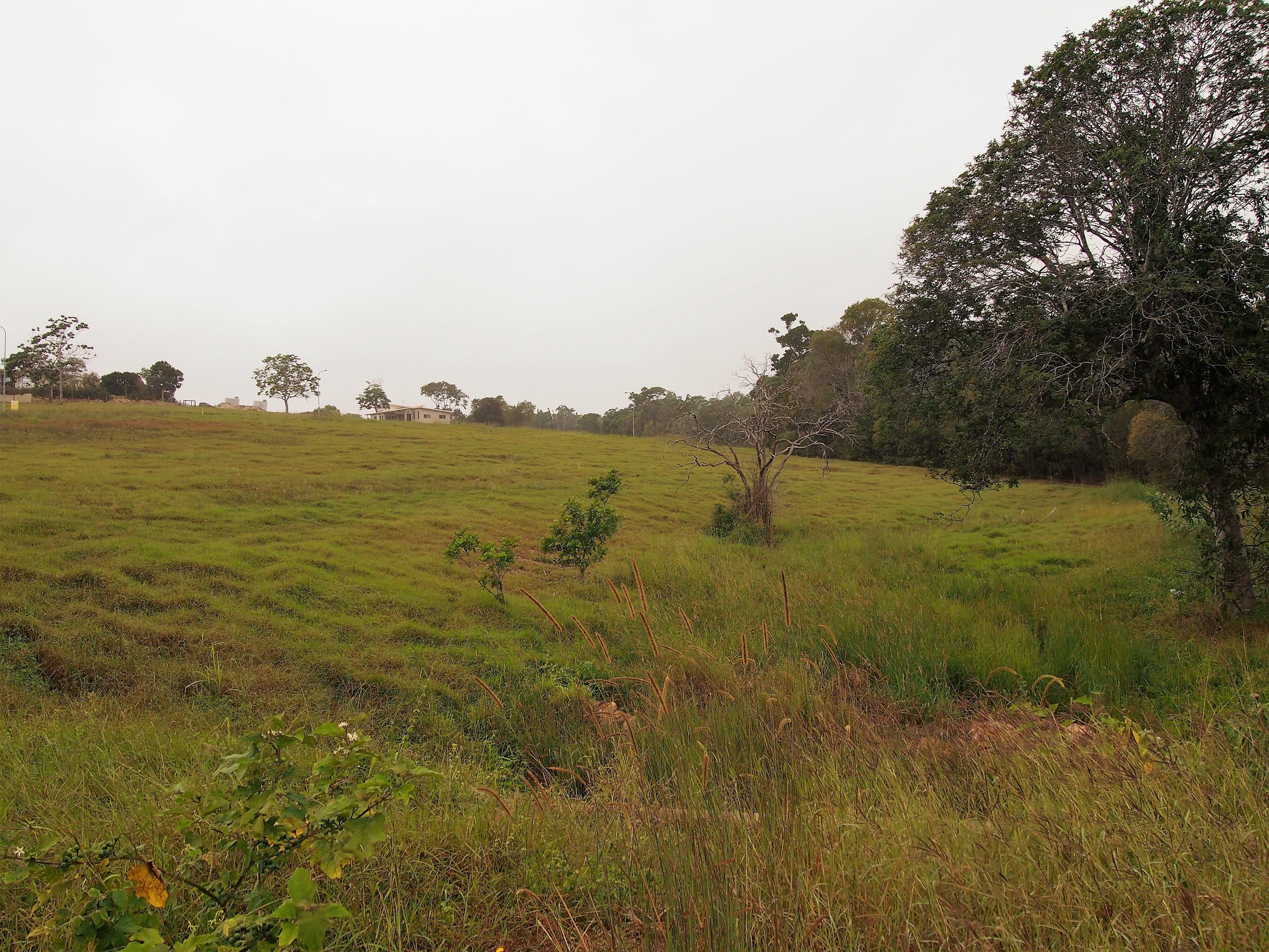 10 Woodgate Avenue, Craignish QLD 4655, Craignish - Thumbnail 7
