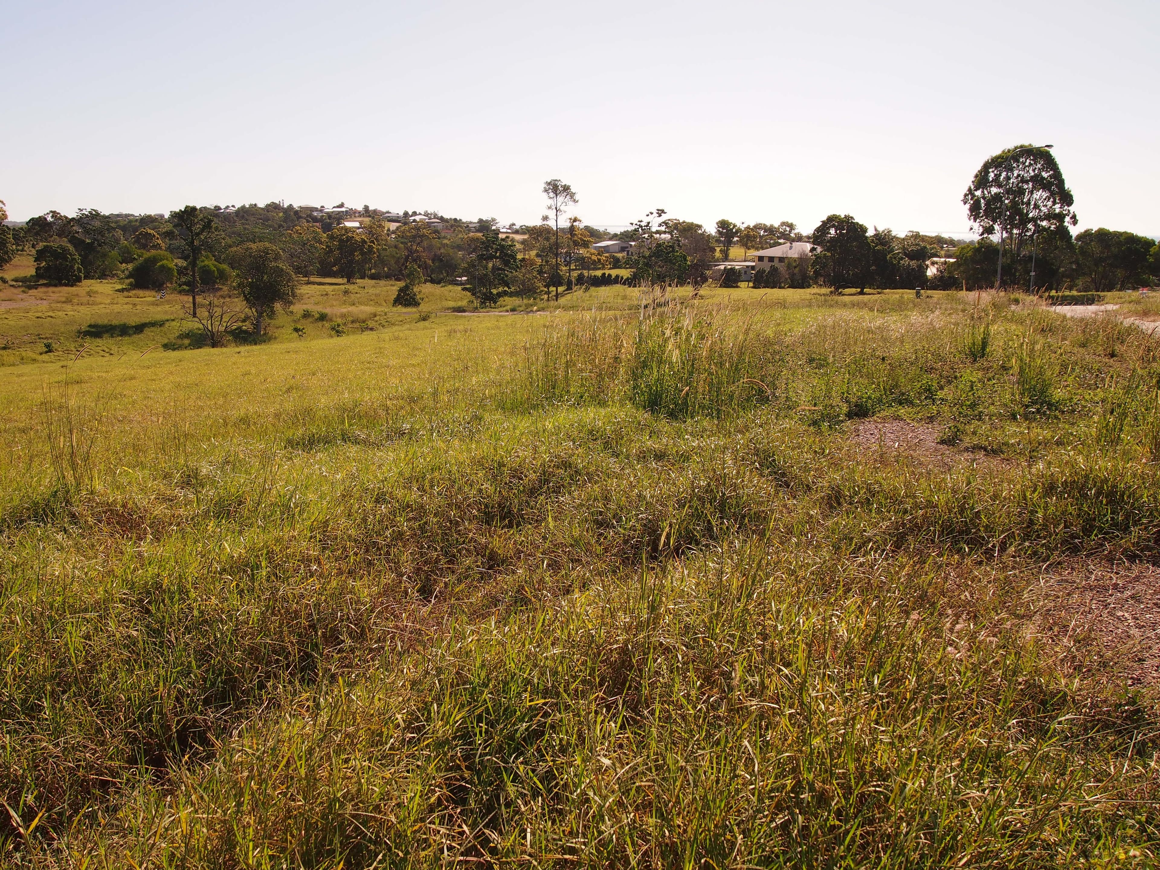 10 Woodgate Avenue, Craignish QLD 4655, Craignish - Thumbnail 8