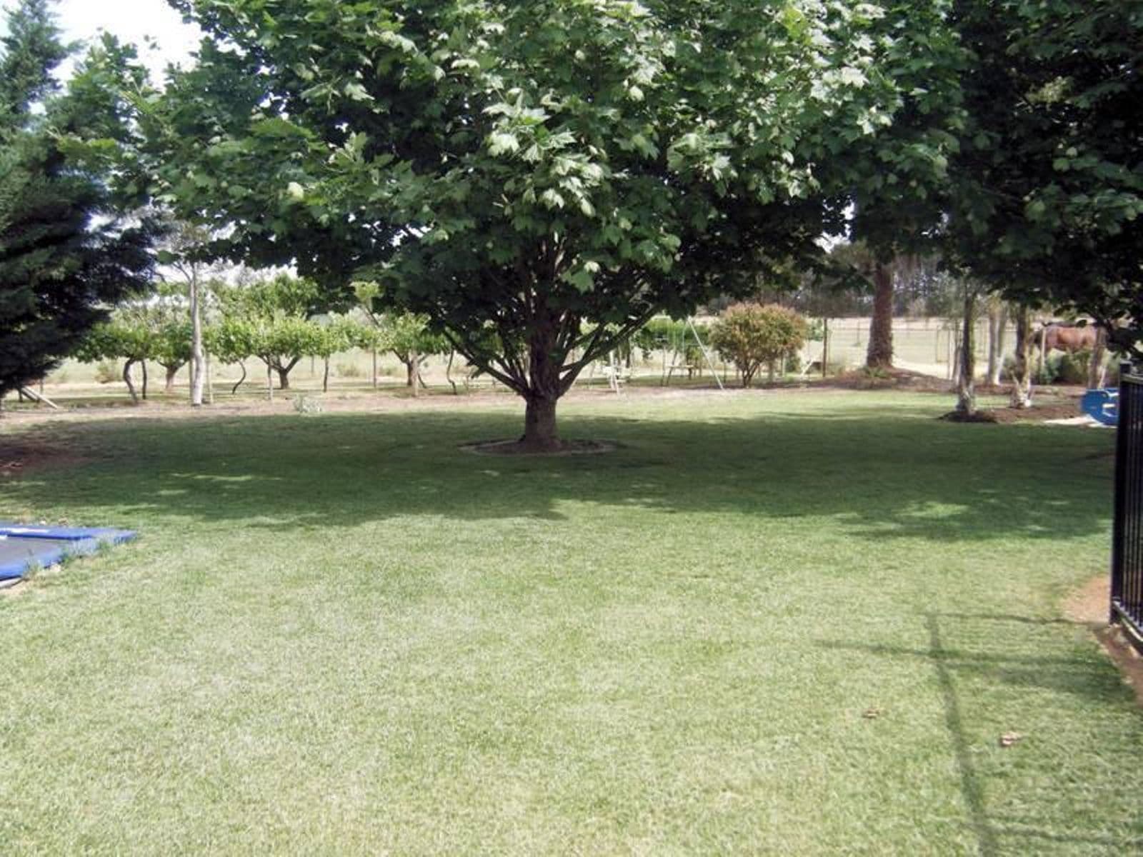 3473 Deakin Avenue, Mildura - Thumbnail 5