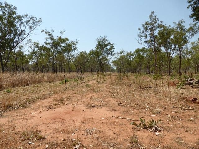 175 Napier Road, KATHERINE NT 0850, Katherine - Thumbnail 3