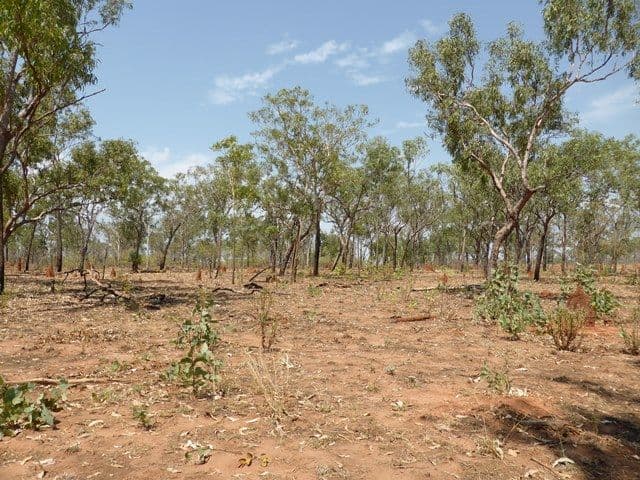 175 Napier Road, KATHERINE NT 0850, Katherine - Thumbnail 4