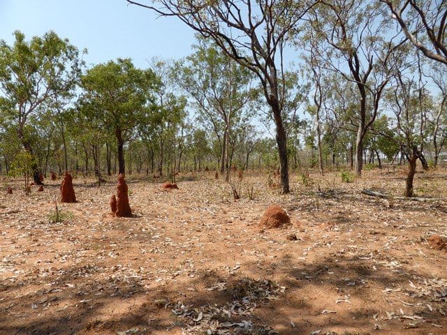 175 Napier Road, KATHERINE NT 0850, Katherine - Thumbnail 5