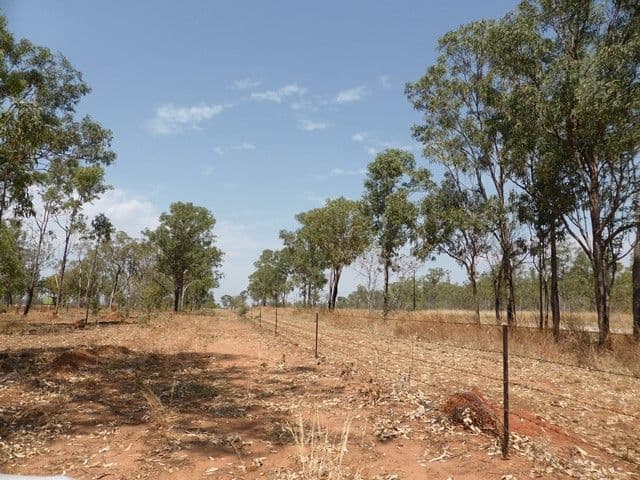 175 Napier Road, KATHERINE NT 0850, Katherine - Thumbnail 6