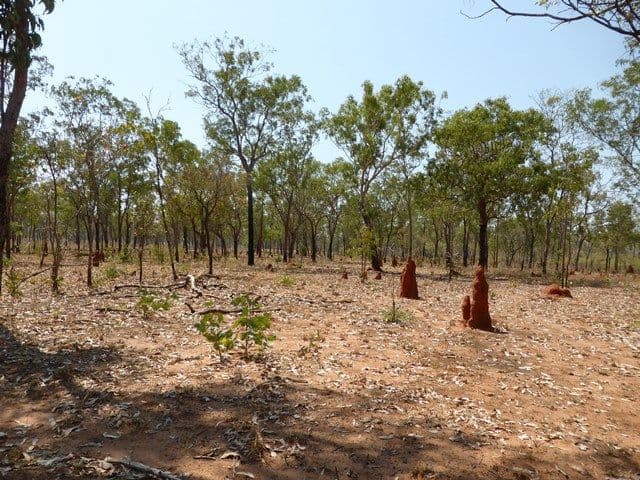 175 Napier Road, KATHERINE NT 0850, Katherine - Thumbnail 7