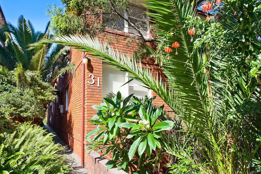 31 Meeks Street, Kingsford NSW 2032, Kingsford - Thumbnail 2