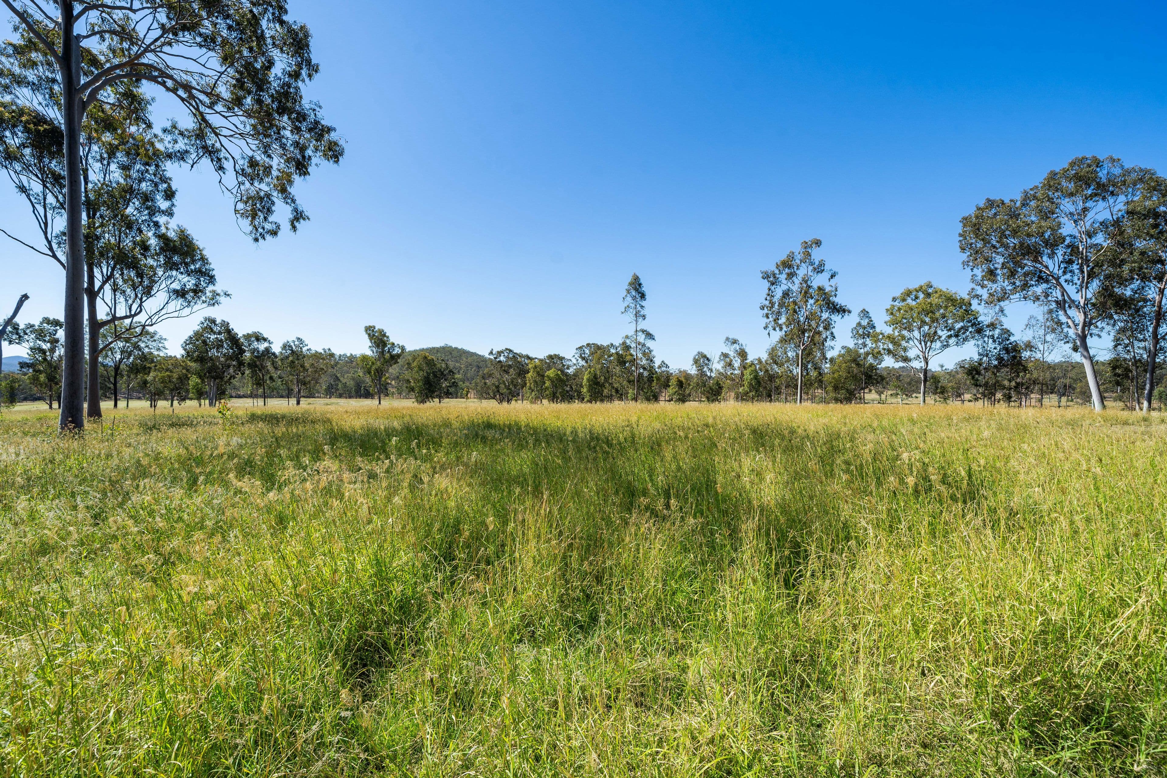 252 Kipper Creek Road, Biarra QLD 4313, Biarra - Thumbnail 6