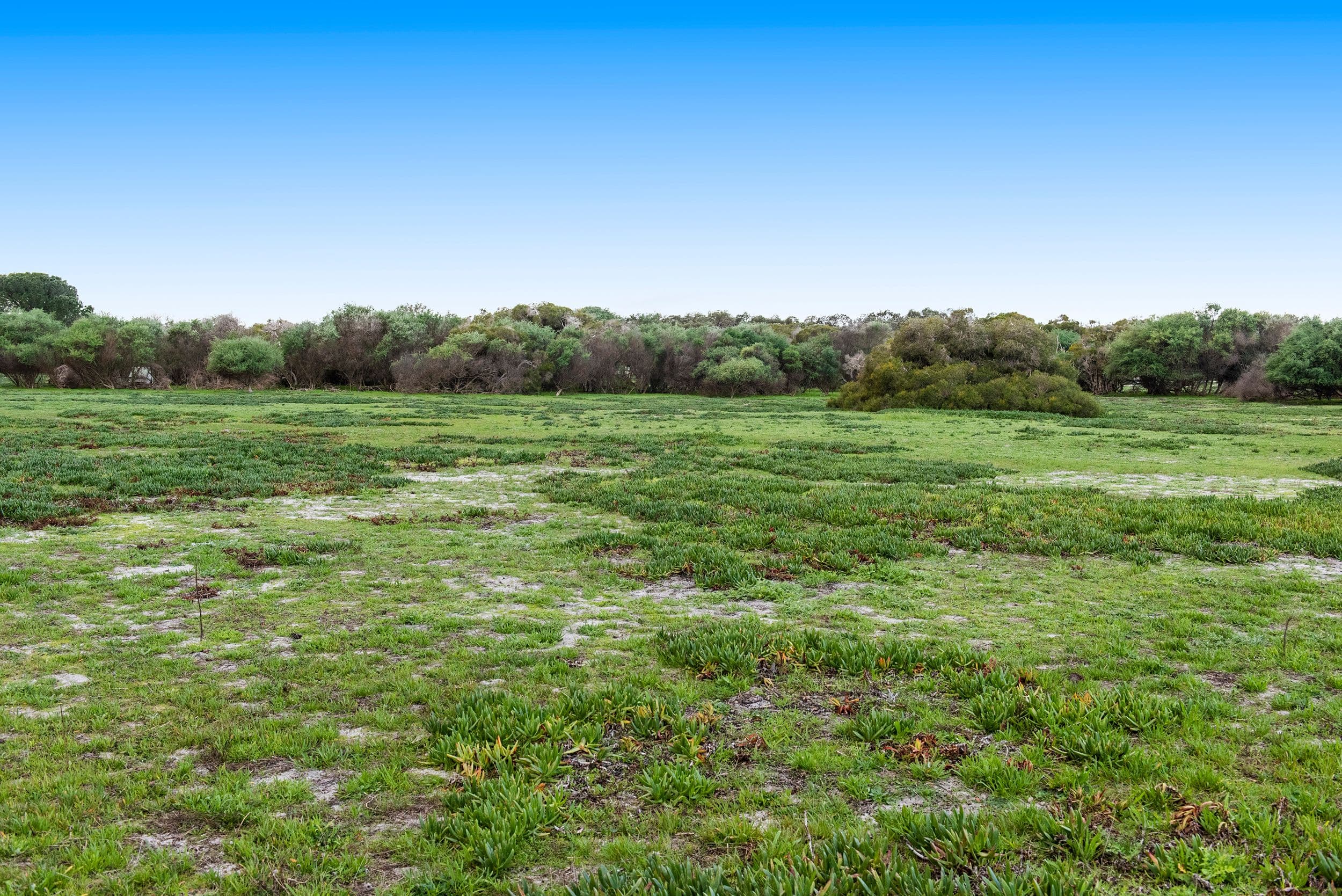 166 Halden Road, Bullsbrook WA 6084, Bullsbrook - Thumbnail 2