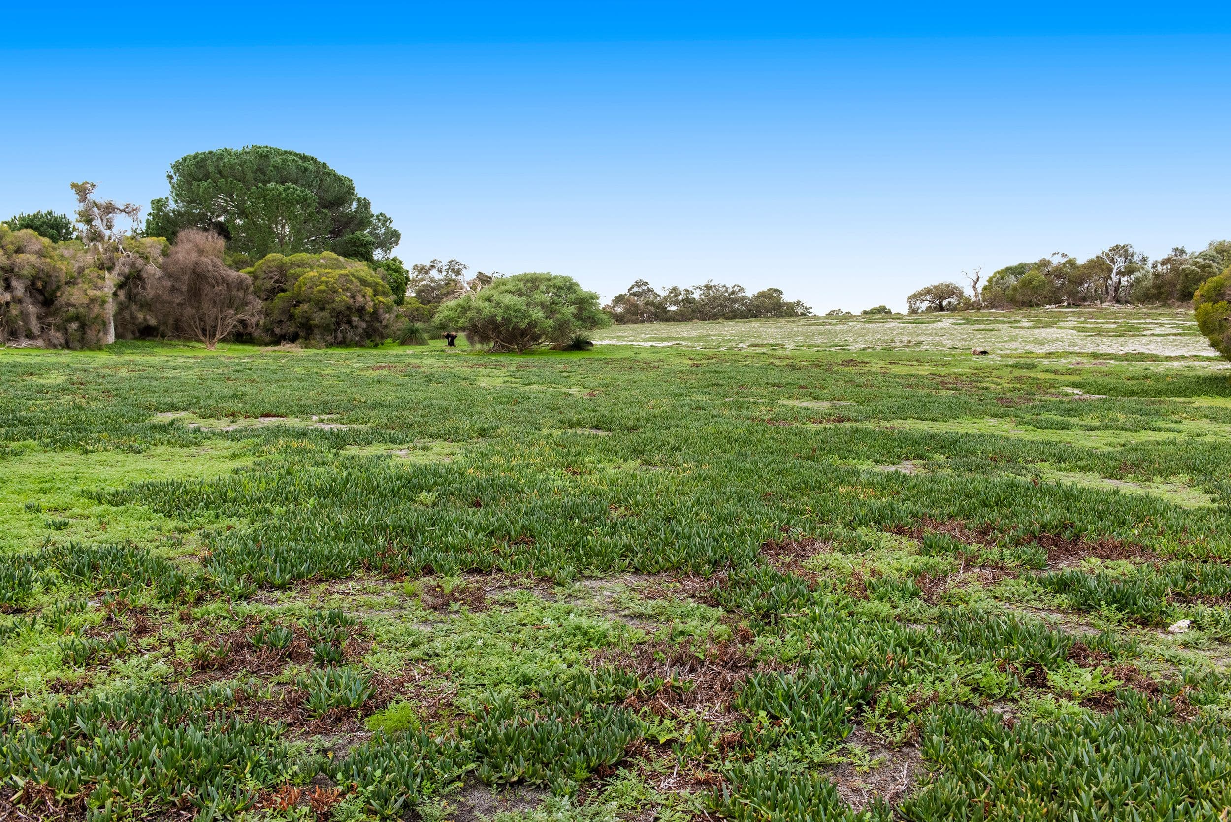 166 Halden Road, Bullsbrook WA 6084, Bullsbrook - Thumbnail 6
