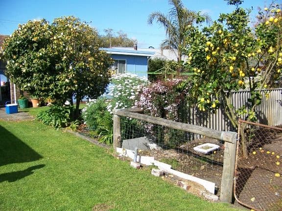 82 Ipsen Street, MANJIMUP WA 6258, Manjimup - Thumbnail 4