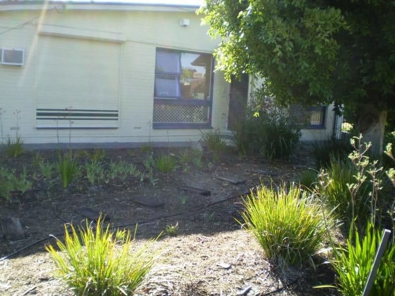 116 Dorothy Street, GOSNELLS WA 6110, Gosnells - Thumbnail 5